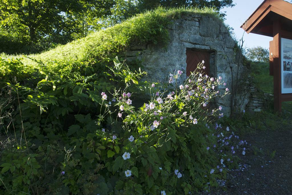 Loefwings B&B Broddetorp エクステリア 写真